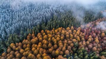 Aerial view of autumn and winter forests showcasing seasonal transition and natural beauty photo
