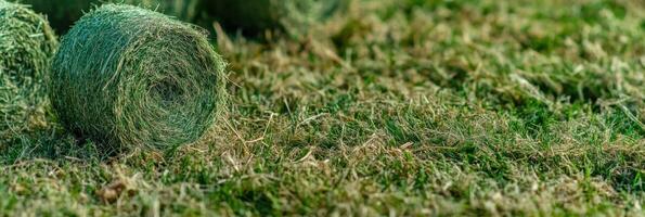Rolled hay bale resting on a sprawling field of freshly cut grass photo