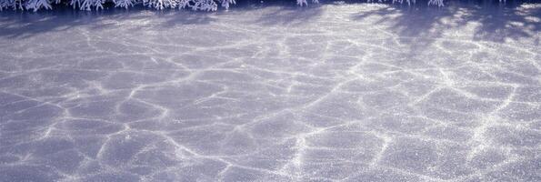 Frozen ice surface with cracks under snowy trees on a winter day photo