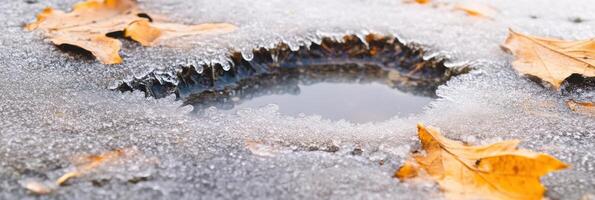 Autumn leaves on frozen puddle with icicles and thawing ice surface photo