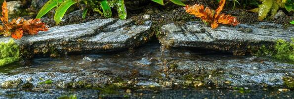 Close-up of flowing water between rocks with autumn leaves and moss growth photo