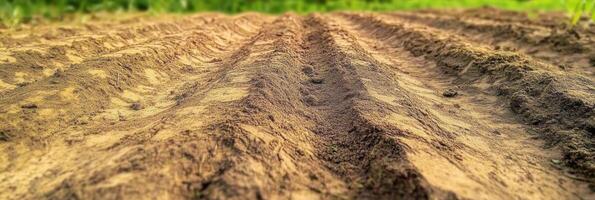 Freshly plowed agricultural field with rows of rich soil ready for planting season photo