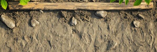 Top view of sandy soil with scattered rocks and wooden log showcasing natural elements photo