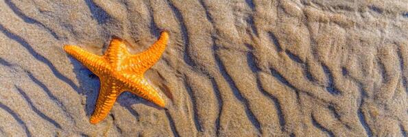 Vibrant orange starfish resting on rippled sandy beach surface, marine life concept photo