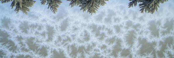 Winter frost patterns on frozen lake with snow-covered pine branches overhead photo