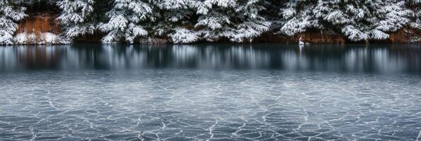 Serene winter lake with snow-covered trees and icy surface reflections photo