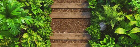 Lush garden pathway with wooden planks surrounded by green foliage photo