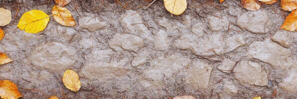 Autumn leaves on muddy ground creating a natural textured background photo