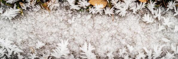 Frost patterns on winter surfaces highlight nature texture and seasonal beauty photo