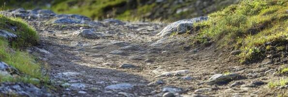 Rocky nature trail with sunlit grass and earthy pathway in the outdoors photo