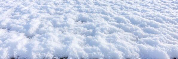 Snow covered ground texture with fresh white snowflakes close up photo