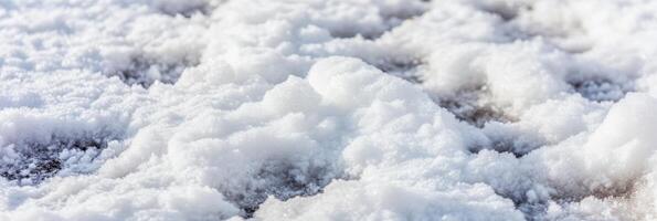 Close-up of fresh white snow covering ground in winter morning light photo