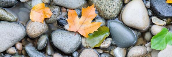 Autumn leaves and river stones creating a serene natural composition photo