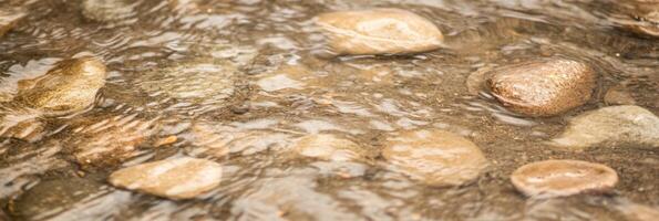 Smooth river stones under shallow flowing water creating natural texture photo