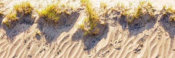 Sandy beach patterns with grass and shadows creating natural texture photo