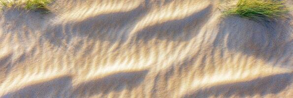 Wavy patterns of sunlit sand dunes with grassy tufts in coastal landscape photo