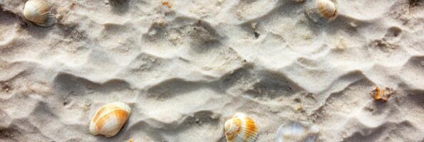 Seashells on sandy beach texture with natural waves and shadows on the shore photo