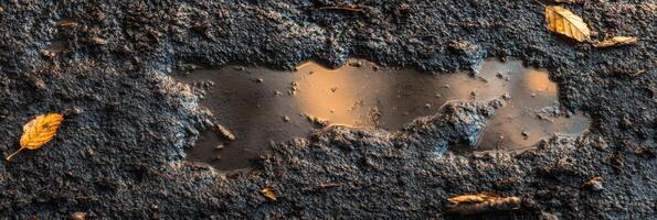 Fallen leaves on wet asphalt with reflective puddle capturing autumn vibe photo