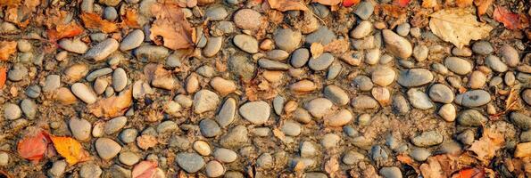 Autumn leaves and wet stones creating a colorful natural background photo