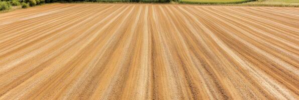 Aerial view of a newly plowed agricultural field with straight rows and clear sky photo