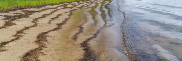 Shoreline with natural patterns of sand and water enhancing beach landscape scene photo