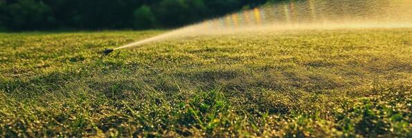 Sprinkler irrigating a vibrant green lawn in a summer garden setting photo