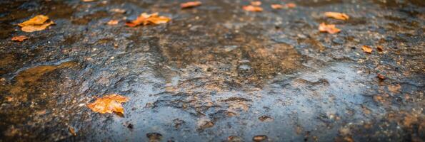 Wet pavement with autumn leaves reflecting on rainy surface photo