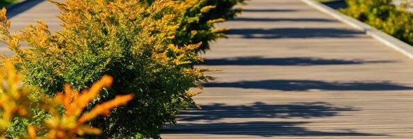 Wooden walkway lined with green and orange foliage in sunlit garden scene photo