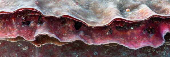 Close-up abstract view of vibrant coral surface with unique textures and patterns photo