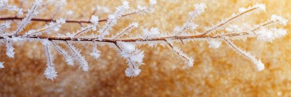 Frost-covered branch with glittering ice crystals on warm background of nature photo