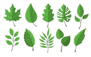 Leaves icons set. Flat green botanical elements isolated on white. Floral object for eco projects, logos, design, frame, border, divider. vector