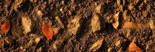 Brown soil texture with scattered red leaves and rocks creating natural patterns photo