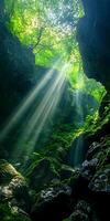Sunbeams Streaming Through Lush Green Forest Canopy and Mossy Rocks photo