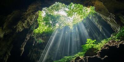 Sunbeams Streaming Through Cave Opening with Lush Greenery Inside photo