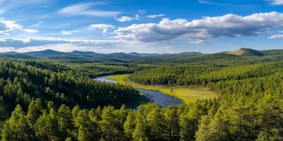 Scenic Aerial View of a River Winding Through a Lush Green Forest photo