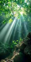 Sun Rays Shining Through Green Forest Canopy Creating a Mystical Scene photo