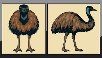 Emu front and side view cartoon illustration vector