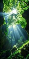 Sunlight Streaming Through Lush Green Forest Canopy in a Mystical Cave photo