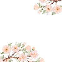 Spring square corner Frame with Blossoming Branch of Peach or Cherry Flowers. Hand drawn watercolor illustration on a white background. Ideal for nature designs, greeting cards and bird Day designs. vector