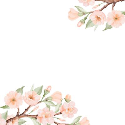 Spring square corner Frame with Blossoming Branch of Peach or Cherry Flowers. Hand drawn watercolor illustration on a white background. Ideal for nature designs, greeting cards and bird Day designs.