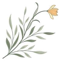 A flower with leaves and a stem on a white vector