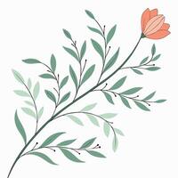 A flower with leaves and a stem on a white background vector