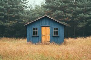 A blue shed sits in a field with trees in the background photo