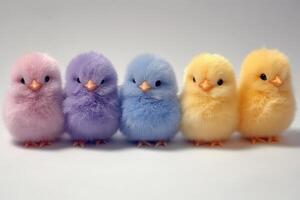 Five colorful chicks are lined up in a row photo