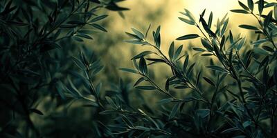 Green Leafy Plants with Soft Sunlight. Serene Botanical Beauty and Natural Element photo