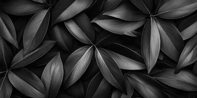 Dark Leaves Close-Up. Serene Monochrome Botanical Design of Elegant Flora photo
