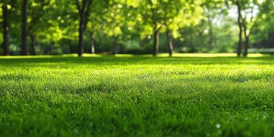 Green Grass Bliss. Natural Parkland Landscape with Bright Lush Grassland View photo