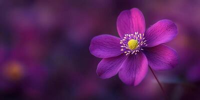 Captivating Purple Flower Bloom. Delicate Petals and Vibrant Colors, Floral Beauty, Garden photo
