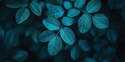 Close-up Leafy Branches in Night Blue. Botanical Calmness Leaves Nature Feeling photo