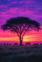 Zebras graze under a tree at colorful sunset. Wild animals eat grass in a field. Nature scene with vibrant sky and landscape. photo